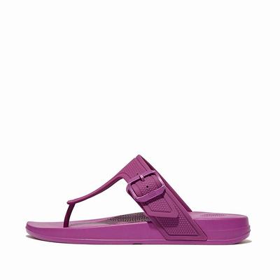 Chanclas Fitflop IQUSHION Adjustable Buckle Mujer Moradas | Chile-81376